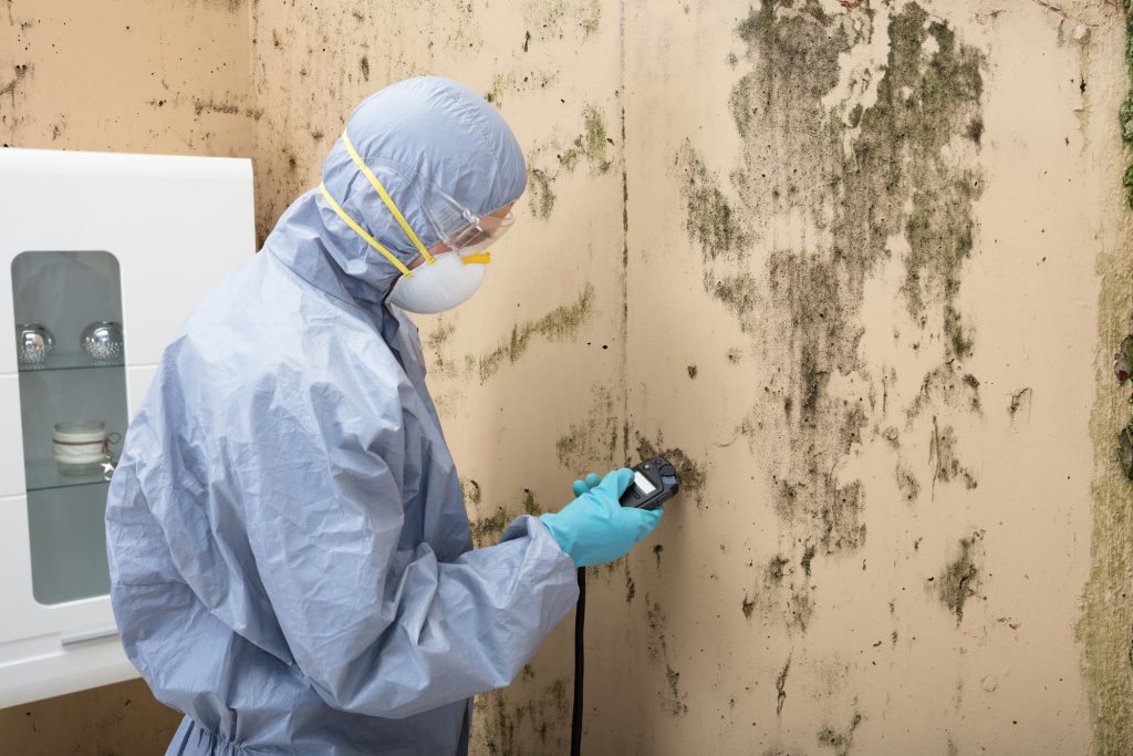 Man inspecting the wall