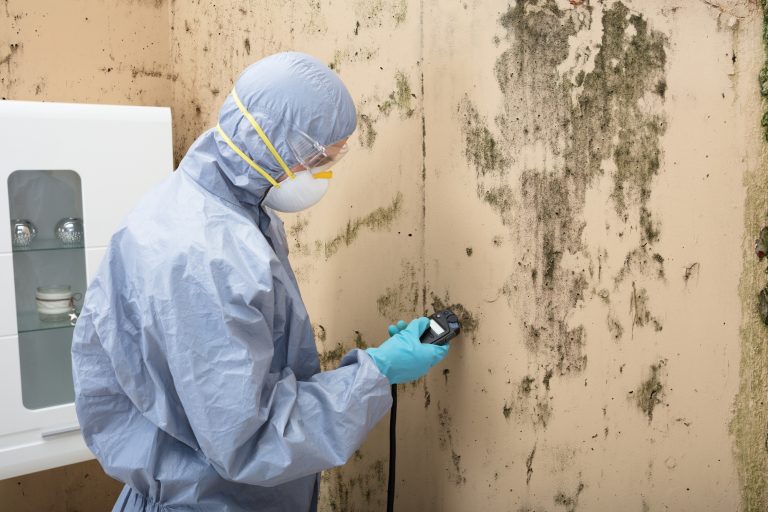 Mold Inspections Bradford Home Inspections
