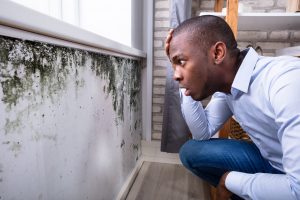 Shocked Man Looking At Mold On Wall