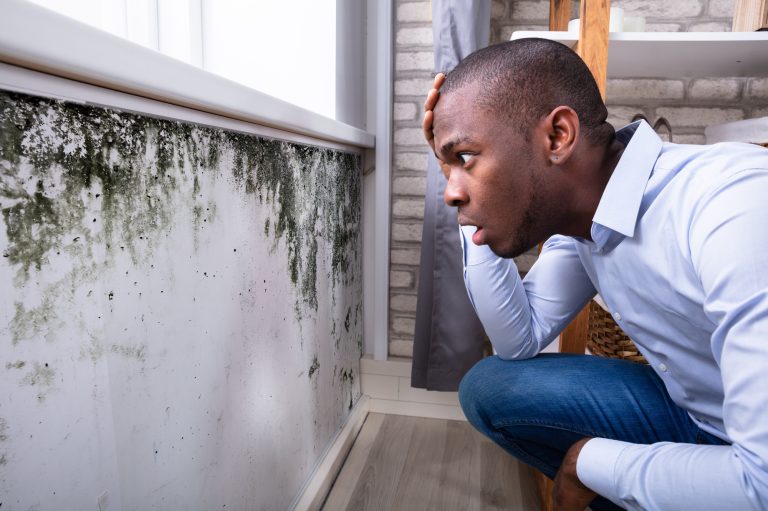 Shocked Man Looking At Mold On Wall Shocked Man Looking At Mold On Wall